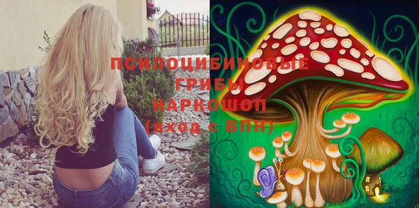 MESCALINE Гусь-Хрустальный